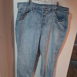 Torrid High-Rise Straight Blue Jeans